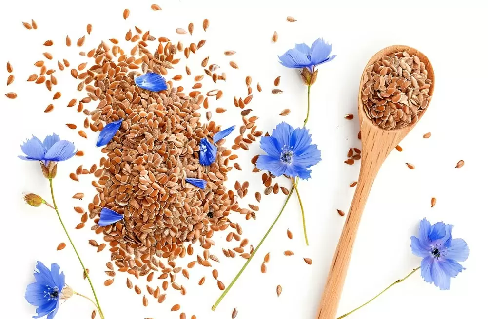 Семена льна: уникальные свойства и как их правильно употреблять