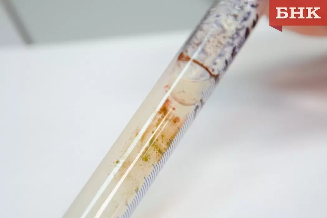 Почему лосось красный: секреты питания и окраски