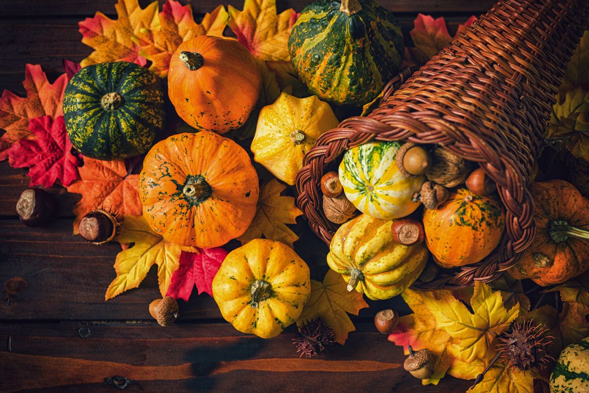 �����: �������� ��� ����������, ������� ������ ������������