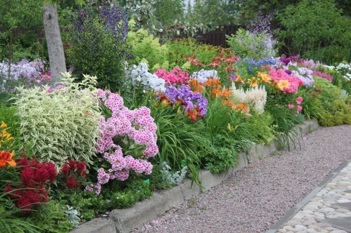 ������� ��������� ���� ����: ��� �������� ������