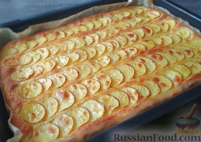 ����� ����� ��������: ������������ ������� �� ������ ����