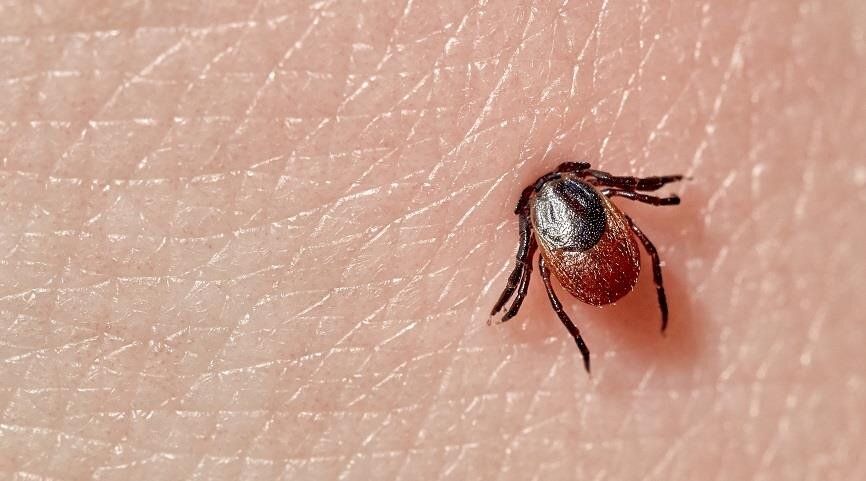 ��� ������������� ����� ������: ����������� ������ � ��� ������ ��� �����