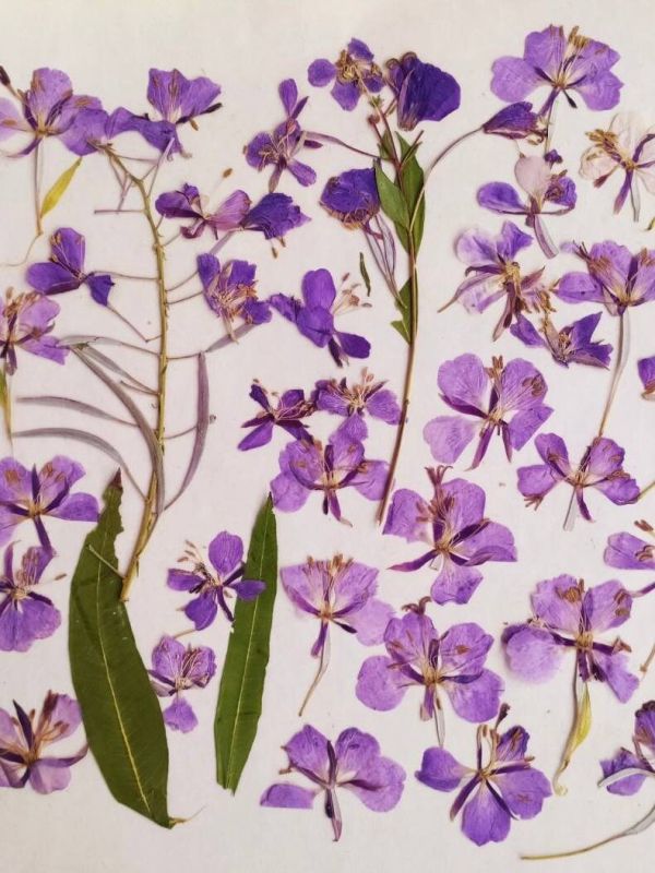 ����-���: ������� ������ � ����� ��� ��������� ���������