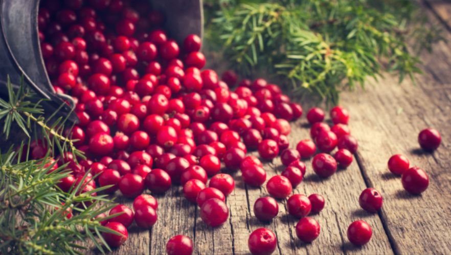 ������: ��������� ����, ������� ������� � ���������