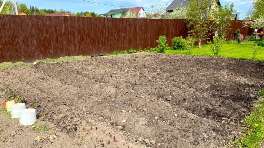 �������� ������ �� �������: ����� ��� �������� � �������� �� �������