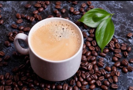 ���� � �������� ����� �����: ���� � ����������