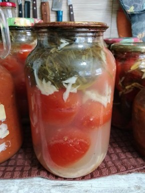 ����� ���������������� �����������