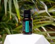 ����� �������� ���� doTERRA: �������� ��� ���� �������� � ��������