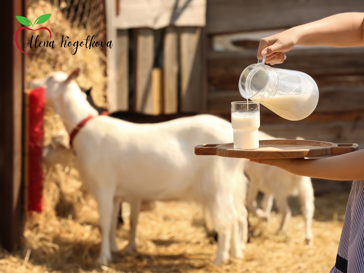 Молочные продукты: открываем секреты пользы и вреда!