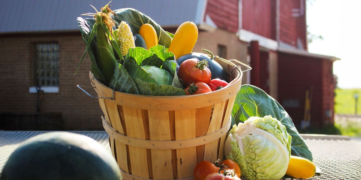Фермерские продукты: стоит ли платить больше за натуральность?