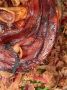Мясо без забот: как избежать глистов и сохранить качество продукта