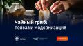 Чайный гриб: новый взгляд на древний напиток и его полезные свойства