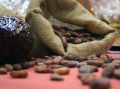 Цены на какао-бобы снова на дне: что это значит для рынка