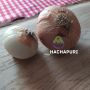 Наслаждайтесь хрустящими луковыми колечками с минимальным набором продуктов
