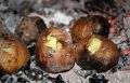 Запеченный картофель в костре: два простых способа