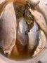 Пелядь пряного посола: вкусный тренд на вашем столе